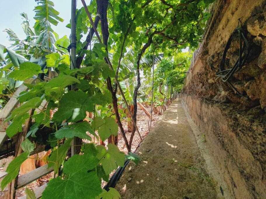 Finca Interian Los Silos Eksteriør billede